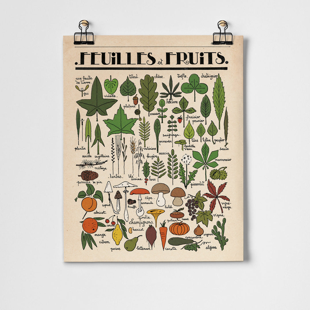 Feuilles et Fruits Fine Art Print