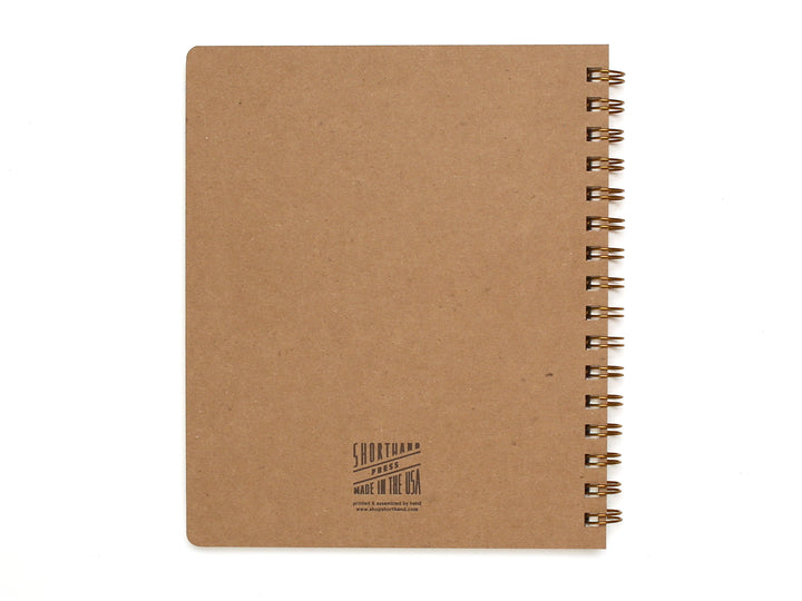 Standard Notebook - Blue Hearts