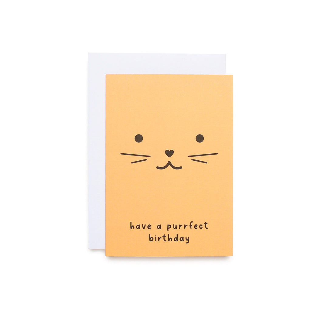 Purrfect Birthday