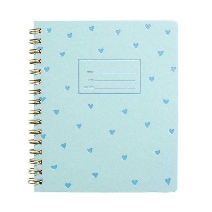 Standard Notebook - Blue Hearts