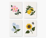 Botanical Blossom Card Set