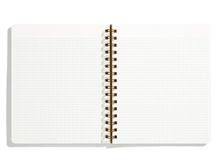 Standard Notebook - Mint