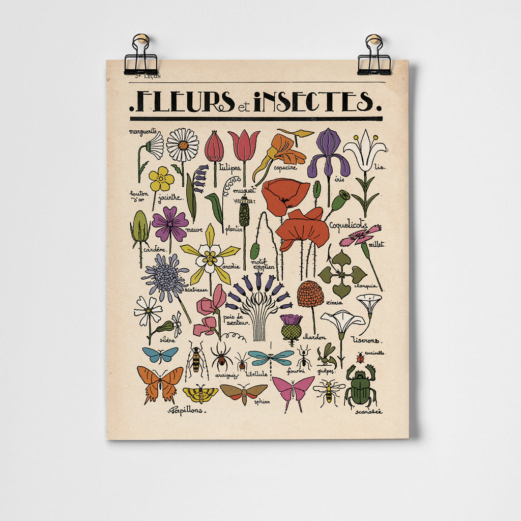 Fleurs et Insectes Fine Art Print