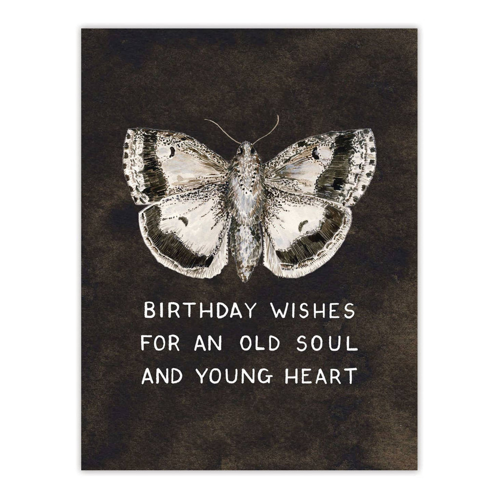 Moth Birthday Wishes