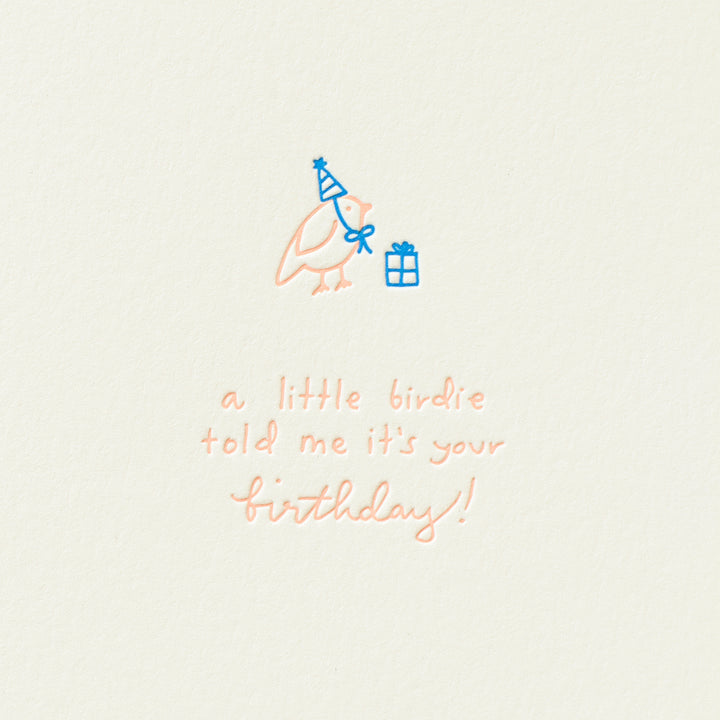 Little Birdie Birthday