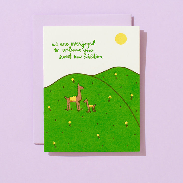 Llama Mama Field