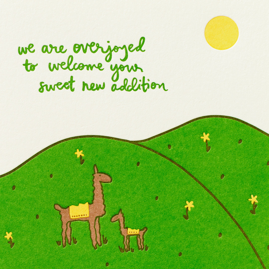 Llama Mama Field