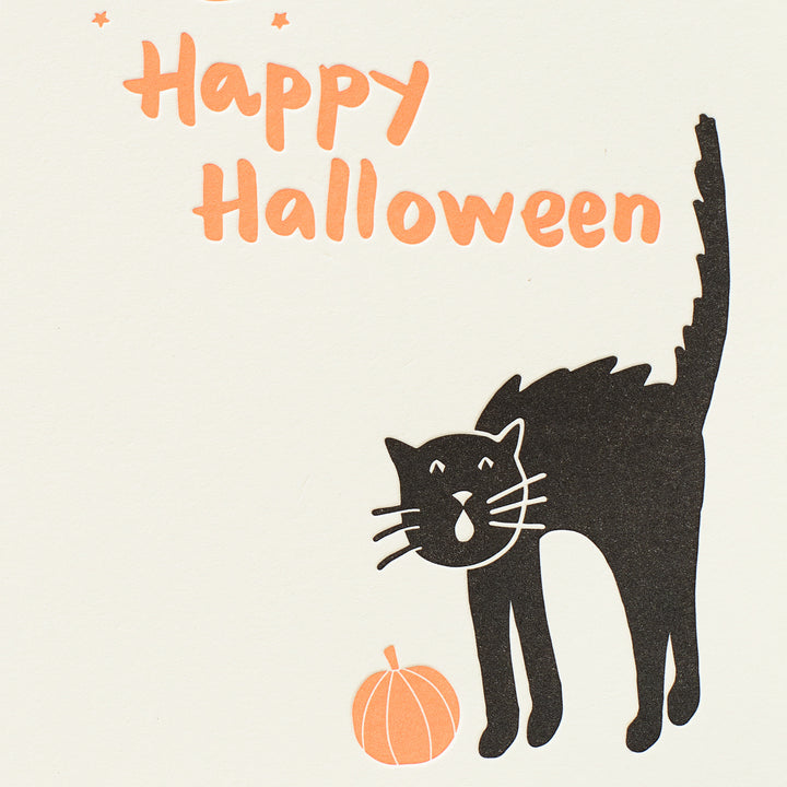 Halloween Cat