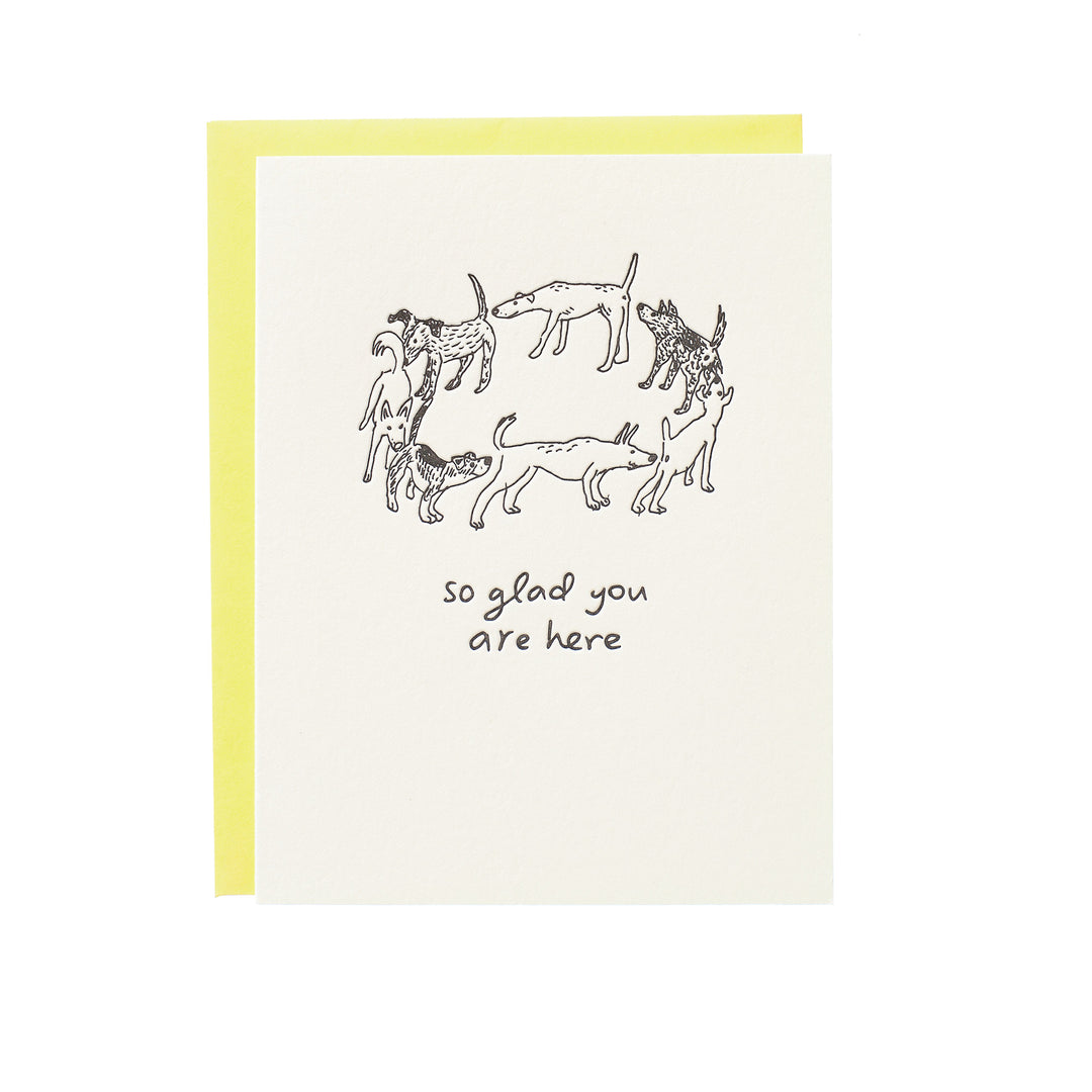 So Glad You Are Here