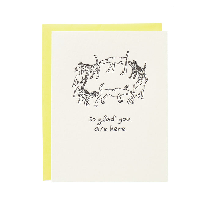 So Glad You Are Here