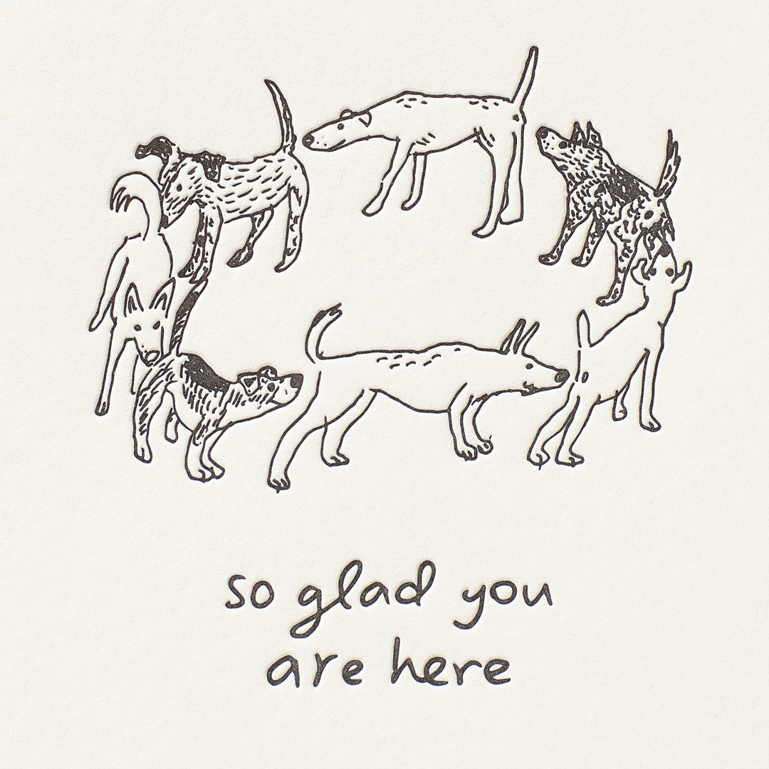 So Glad You Are Here