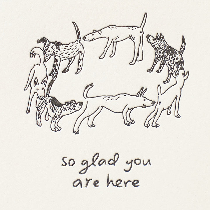 So Glad You Are Here