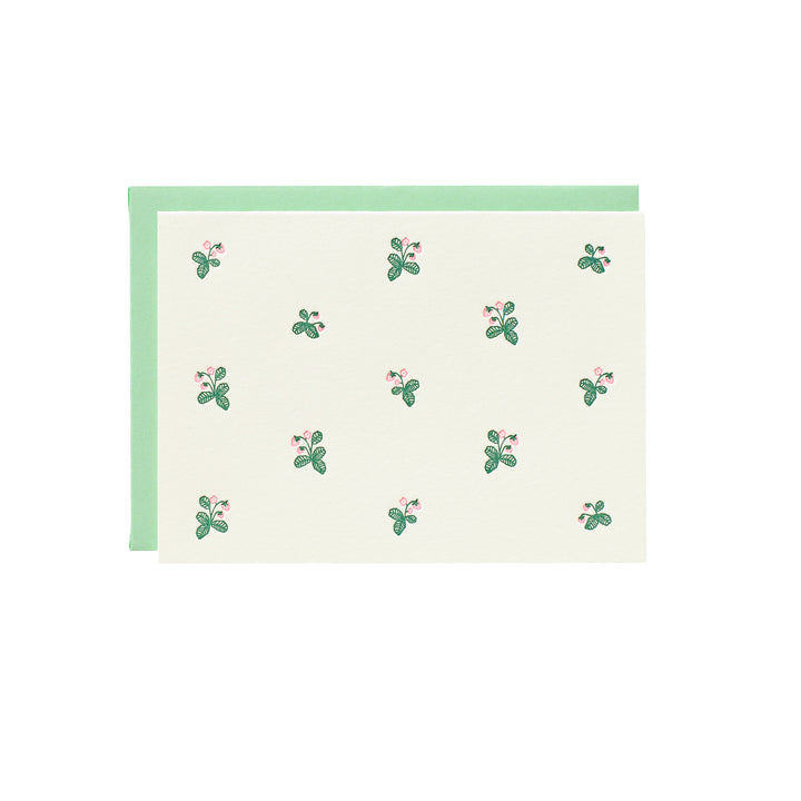 Strawberry Pattern Box Set