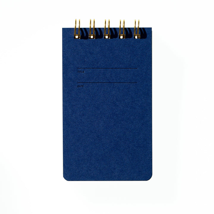 Reporter Notebook - Blueberry