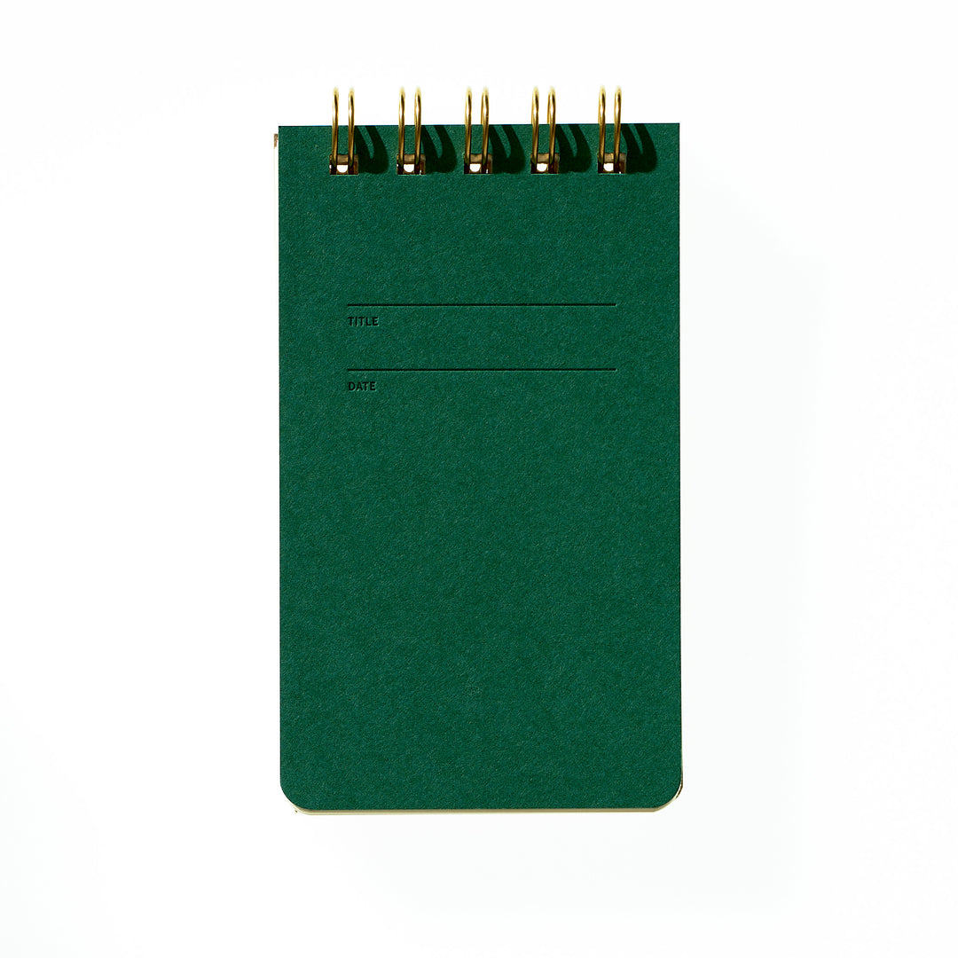 Reporter Notebook - Fern