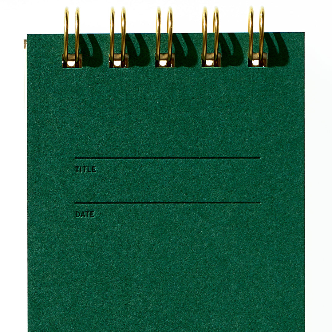 Reporter Notebook - Fern
