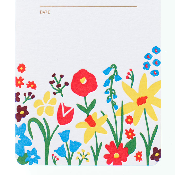 Reporter Notebook - Super Bloom