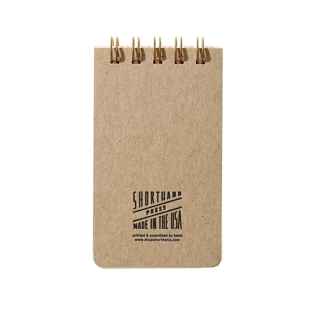 Reporter Notebook - Colorful Fish