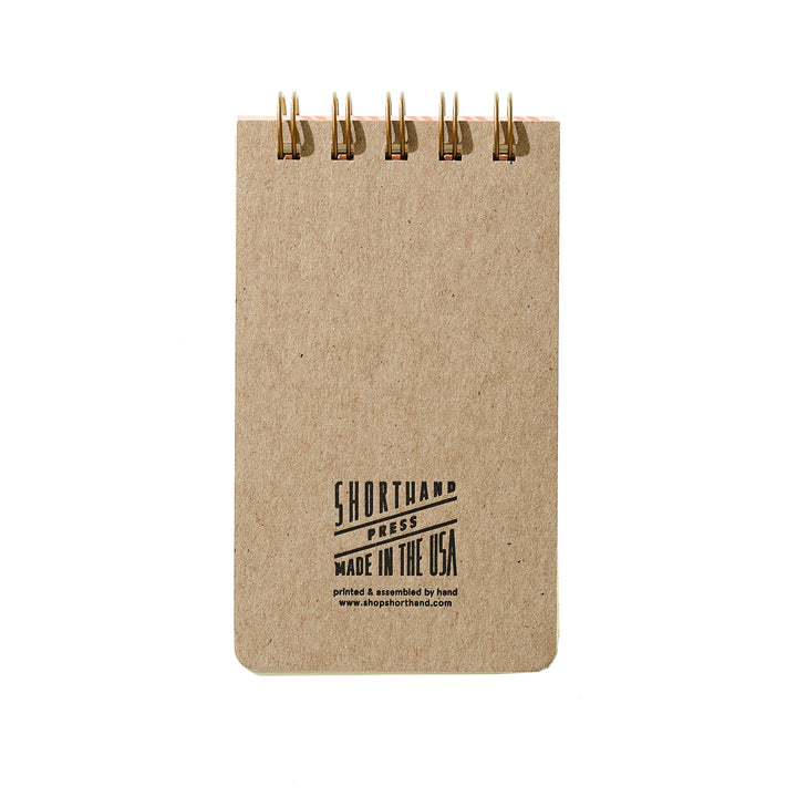 Reporter Notebook - Colorful Fish