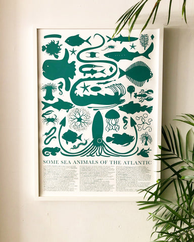 Sea Animals of the Atlantic Poster