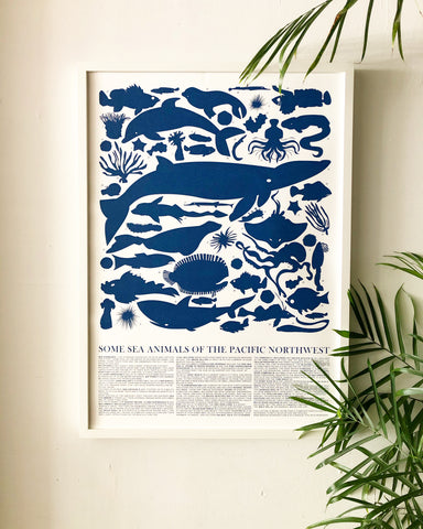 Sea Animals of the Pacific Northwest Poster