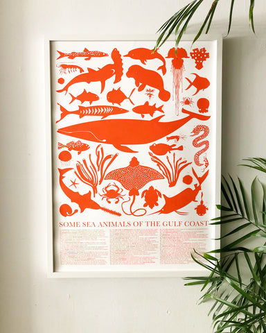 Sea Animals of the Gulf Coast Poster