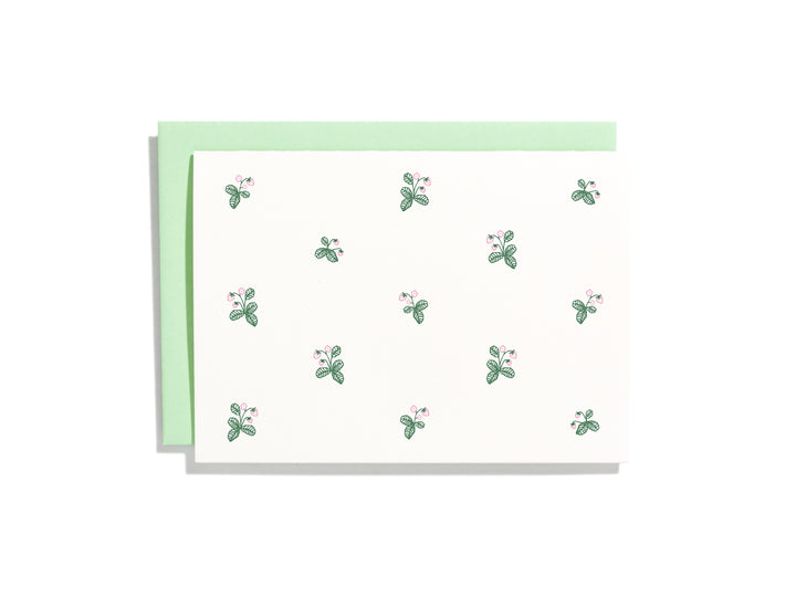 Strawberry Pattern Box Set