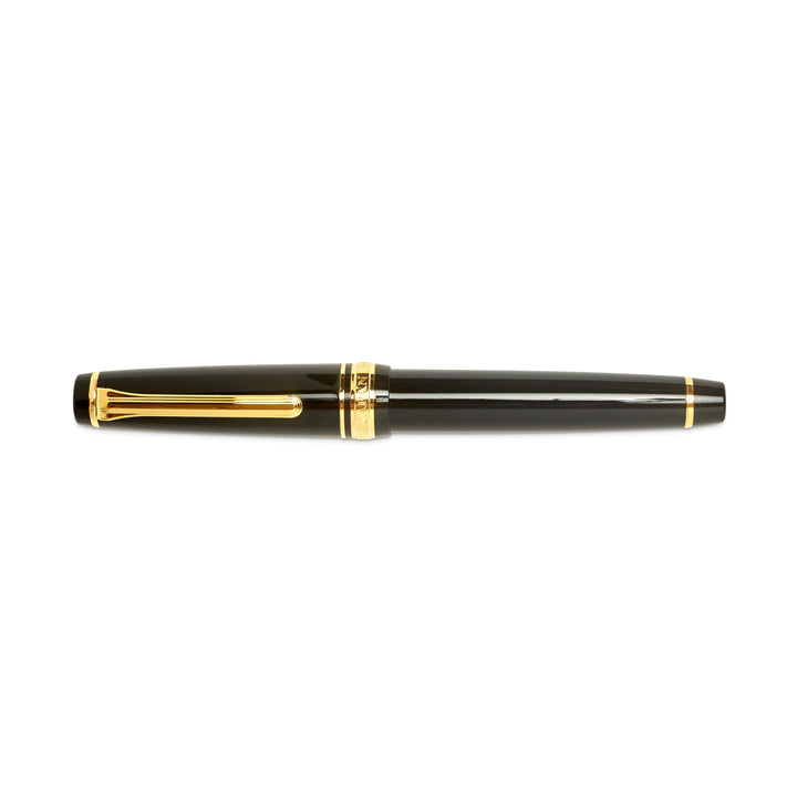 Professional Gear Slim Fountain Pen - Black/Gold