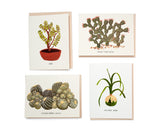 Succulents Card Set