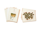 Succulents Card Set