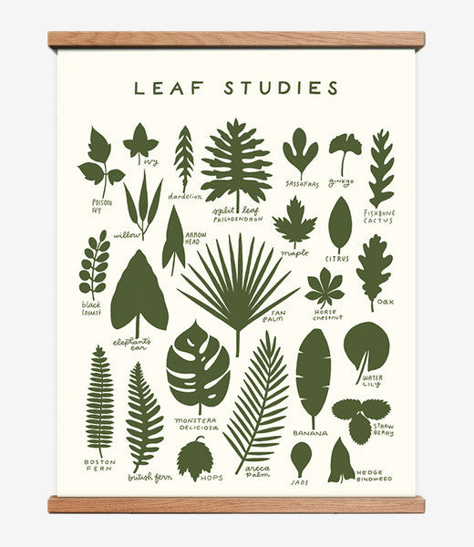 Leaf Studies