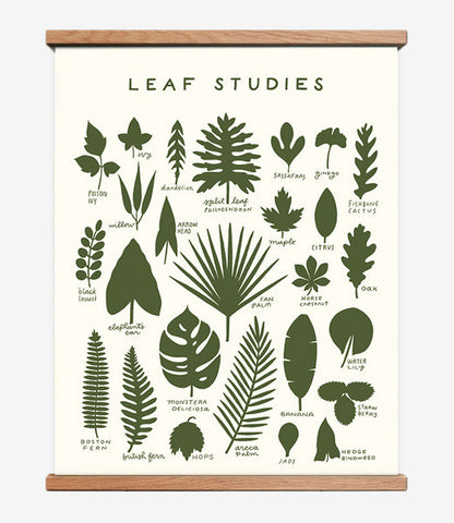 Leaf Studies